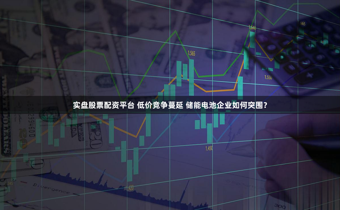 实盘股票配资平台 低价竞争蔓延 储能电池企业如何突围？