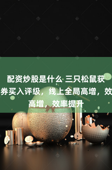 配资炒股是什么 三只松鼠获华安证券买入评级，线上全局高增，效率提升