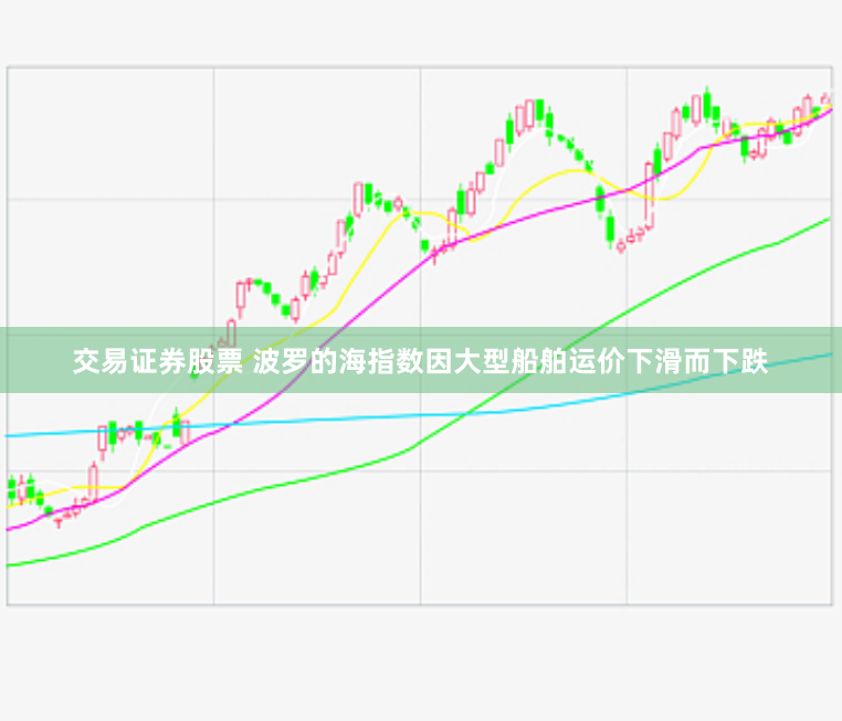 交易证券股票 波罗的海指数因大型船舶运价下滑而下跌