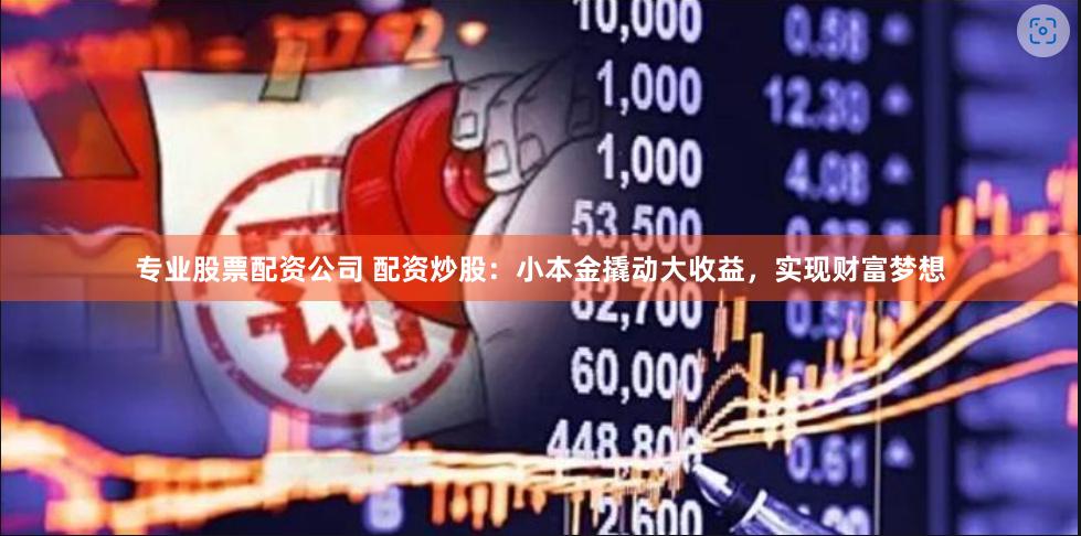 专业股票配资公司 配资炒股:小本金撬动大收益,实现财富梦想