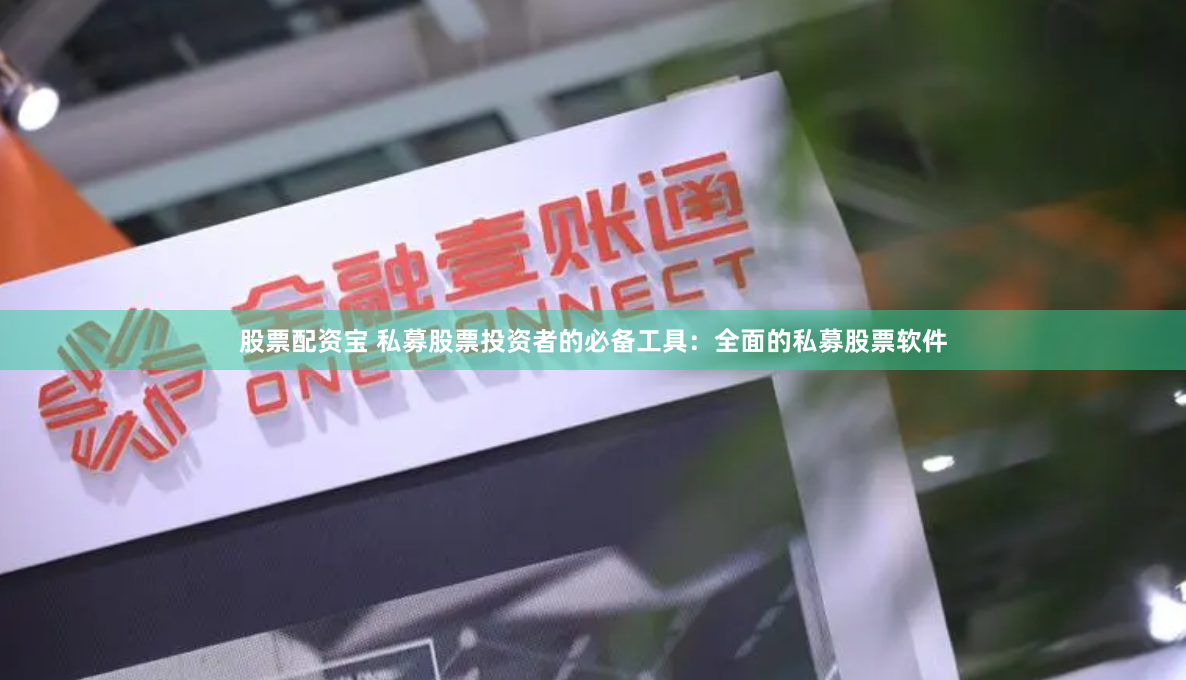 股票配资宝 私募股票投资者的必备工具：全面的私募股票软件